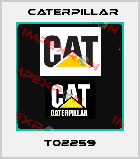 T02259 Caterpillar