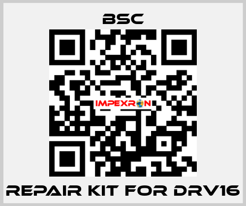 repair kit for DRV16 BSC