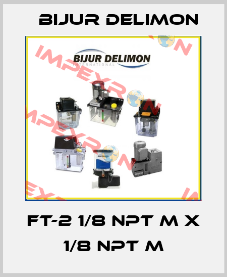 FT-2 1/8 NPT M X 1/8 NPT M Bijur Delimon