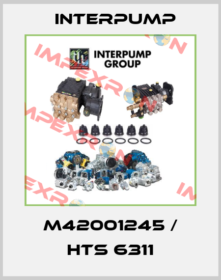 M42001245 / HTS 6311 Interpump