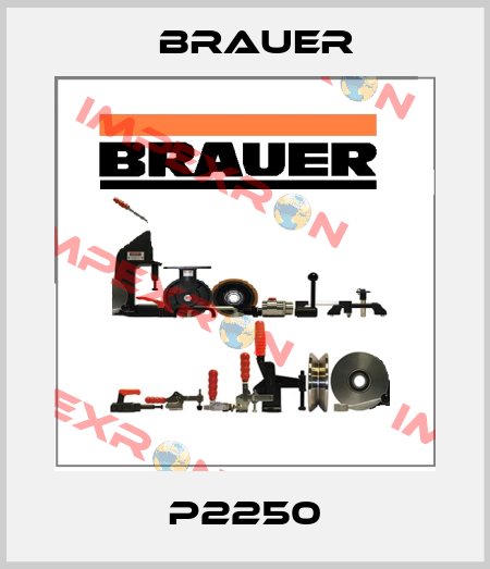 P2250 Brauer