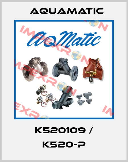 K520109 / K520-P AquaMatic