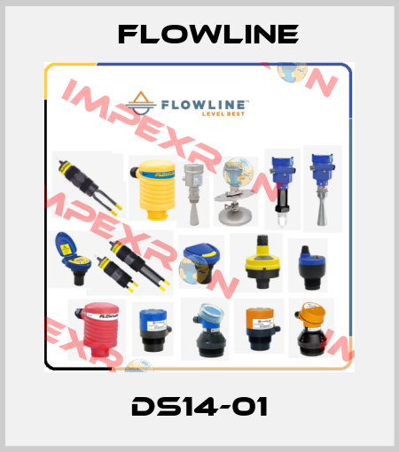 DS14-01 Flowline