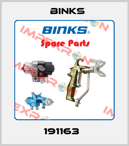 191163   Binks