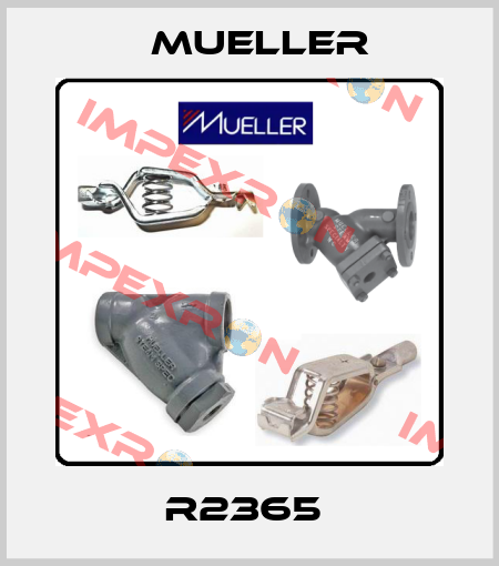 R2365  Mueller