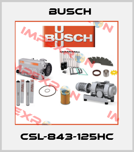 CSL-843-125HC Busch