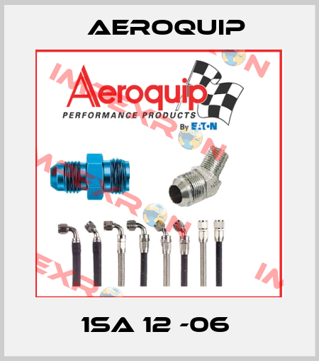 1SA 12 -06  Aeroquip
