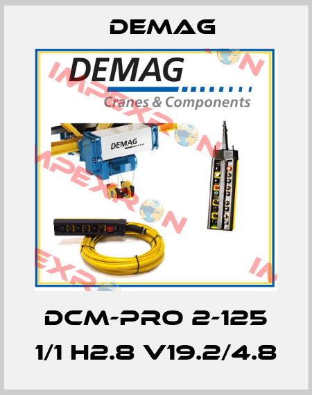 DCM-Pro 2-125 1/1 H2.8 V19.2/4.8 Demag