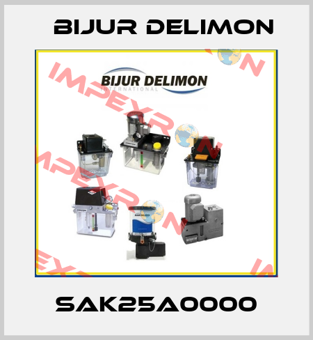 SAK25A0000 Bijur Delimon