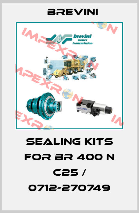 Sealing kits for BR 400 N C25 / 0712-270749 Brevini
