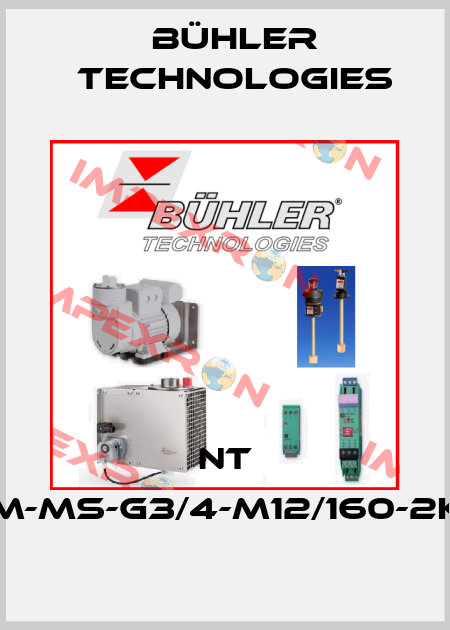 NT M-MS-G3/4-M12/160-2K Bühler Technologies