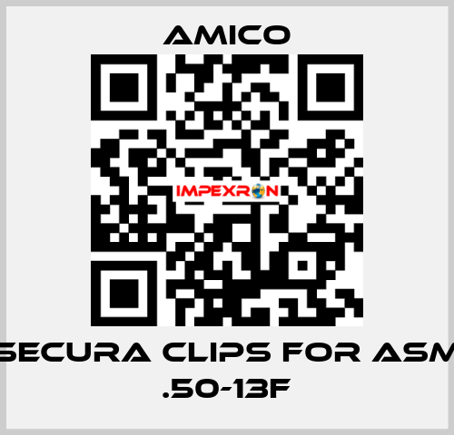 Secura Clips for ASM .50-13F AMICO