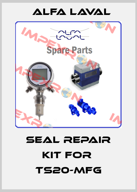 seal repair kit for  TS20-MFG Alfa Laval
