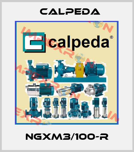 NGXM3/100-R Calpeda