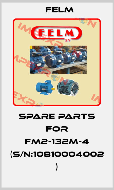 spare parts for FM2-132M-4 (S/N:10810004002 ) Felm