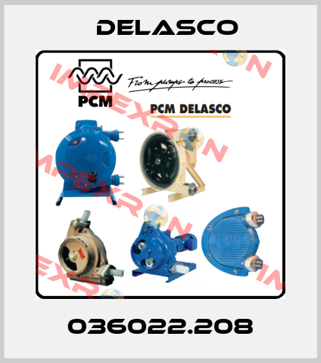 036022.208 Delasco
