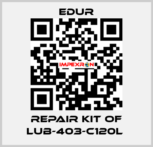 REPAIR KIT OF LUB-403-C120L  Edur