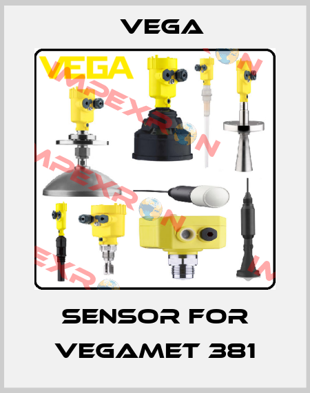 sensor for VEGAMET 381 Vega