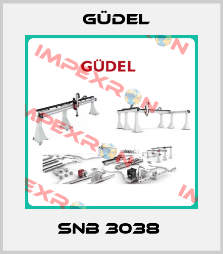 SNB 3038  Güdel