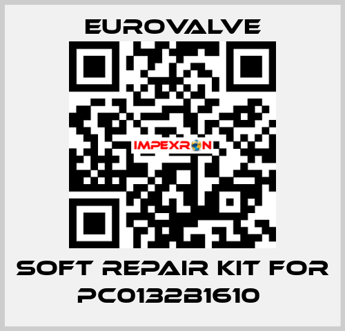 SOFT REPAIR KIT FOR PC0132B1610  Eurovalve