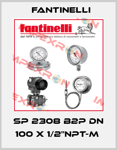 SP 2308 B2P DN 100 X 1/2"NPT-M  Fantinelli
