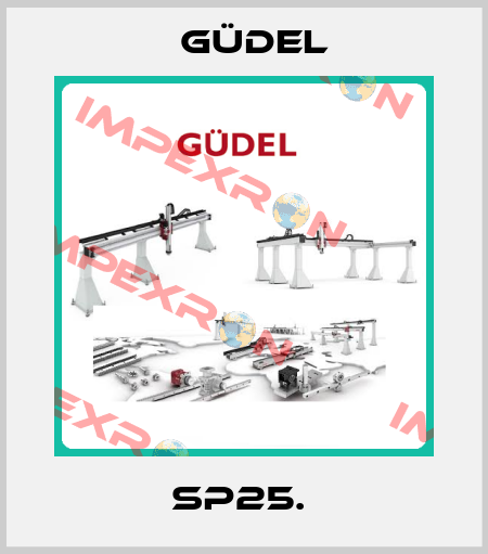SP25.  Güdel