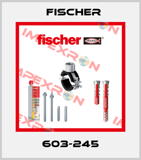 603-245 Fischer