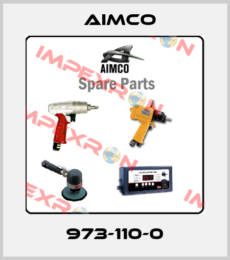 973-110-0 AIMCO