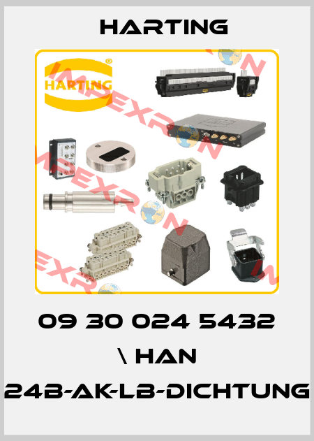09 30 024 5432 \ Han 24B-AK-LB-Dichtung Harting