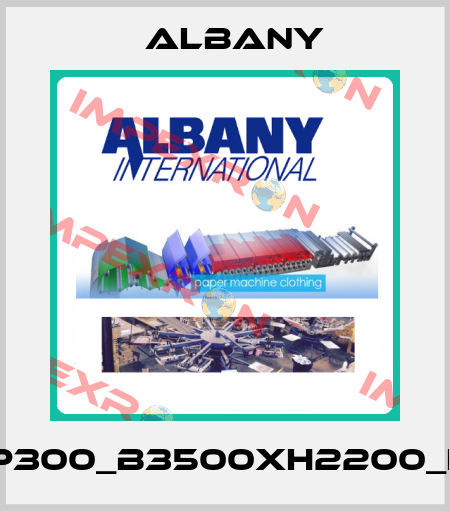 RP300_B3500xH2200_LH Albany