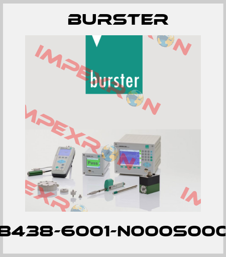 8438-6001-N000S000 Burster