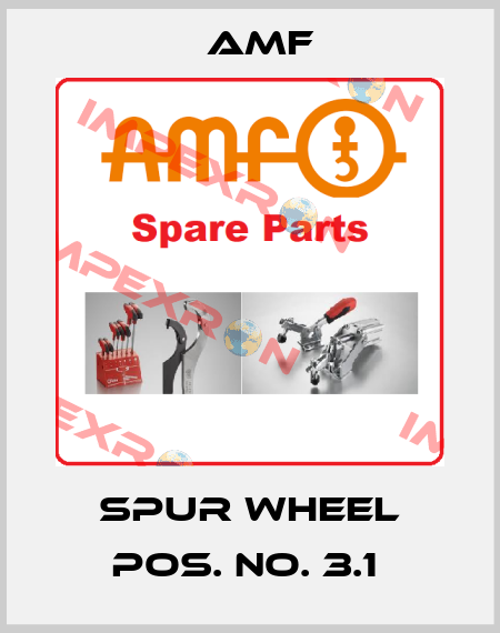 Spur Wheel Pos. No. 3.1  Amf