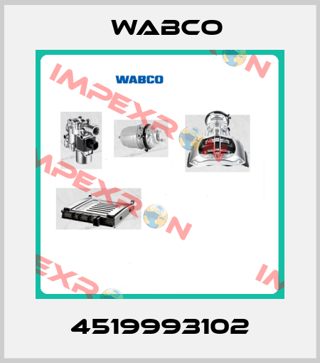 4519993102 Wabco