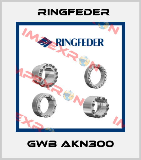 GWB AKN300 Ringfeder