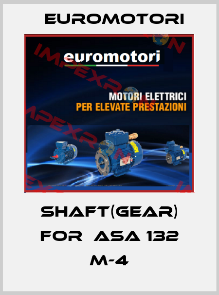 shaft(gear) for  ASA 132 M-4 Euromotori