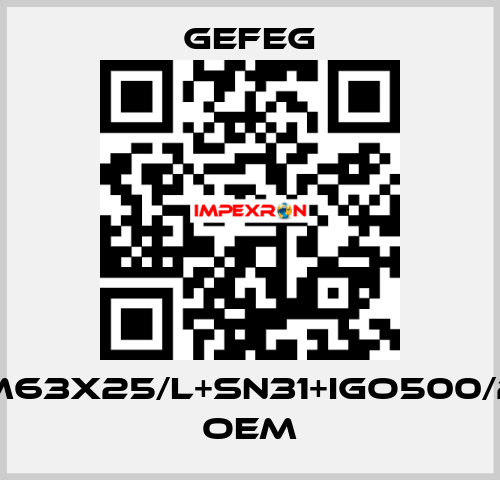 M63x25/l+sn31+igo500/2 OEM Gefeg