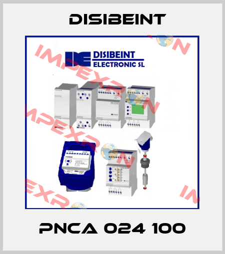 PNCA 024 100 Disibeint