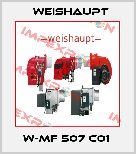 W-MF 507 C01  Weishaupt