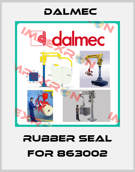 rubber seal for 863002 Dalmec