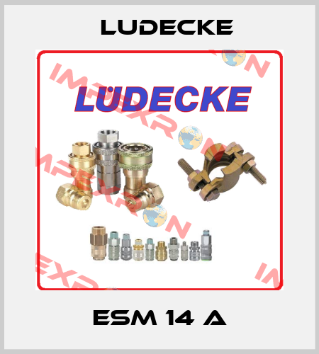 ESM 14 A Ludecke