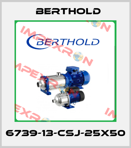 6739-13-CSJ-25X50 Berthold