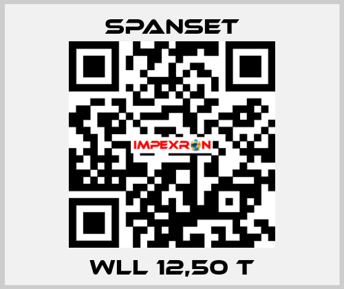 WLL 12,50 t SpanSet