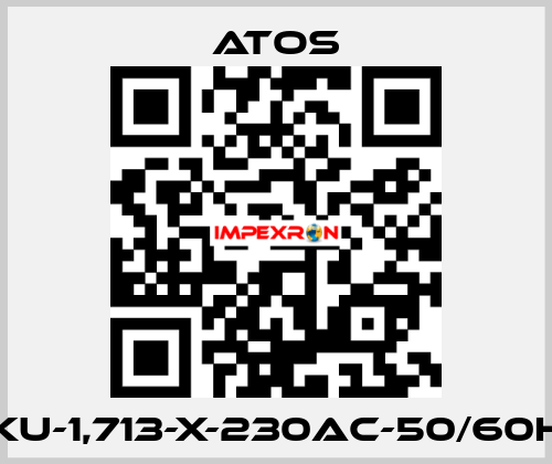 DKU-1,713-X-230AC-50/60HZ Atos