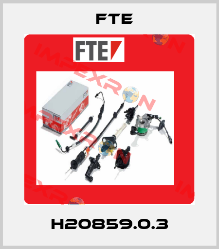 H20859.0.3 FTE