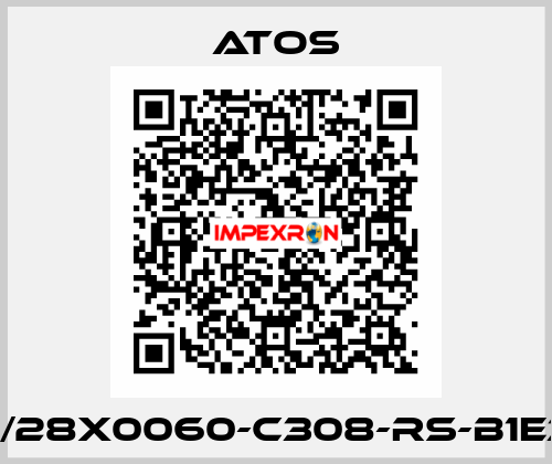 CK-40/28X0060-C308-RS-B1E3X1Z3 Atos