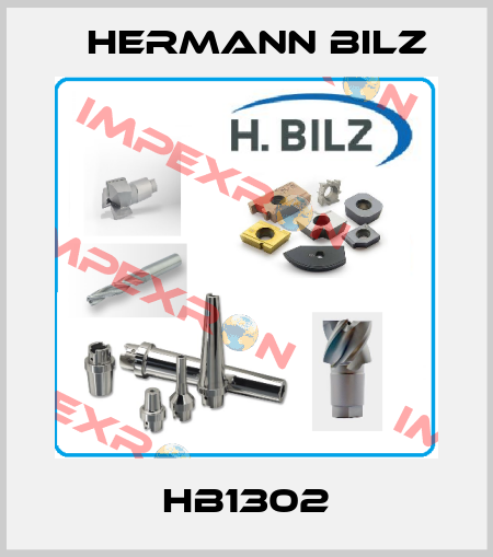 HB1302 Hermann Bilz