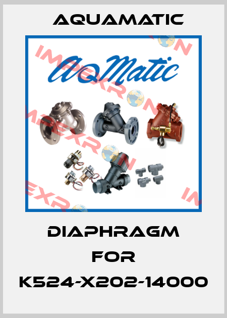 Diaphragm for K524-X202-14000 AquaMatic