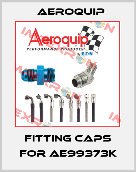 fitting caps for AE99373K Aeroquip