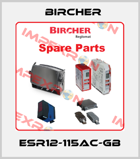 ESR12-115AC-GB Bircher