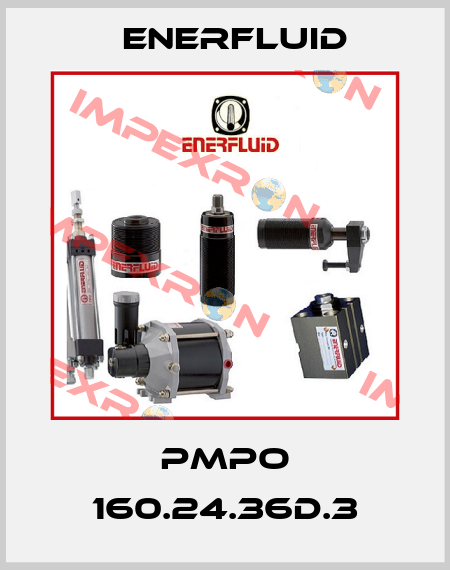 PMPO 160.24.36D.3 Enerfluid